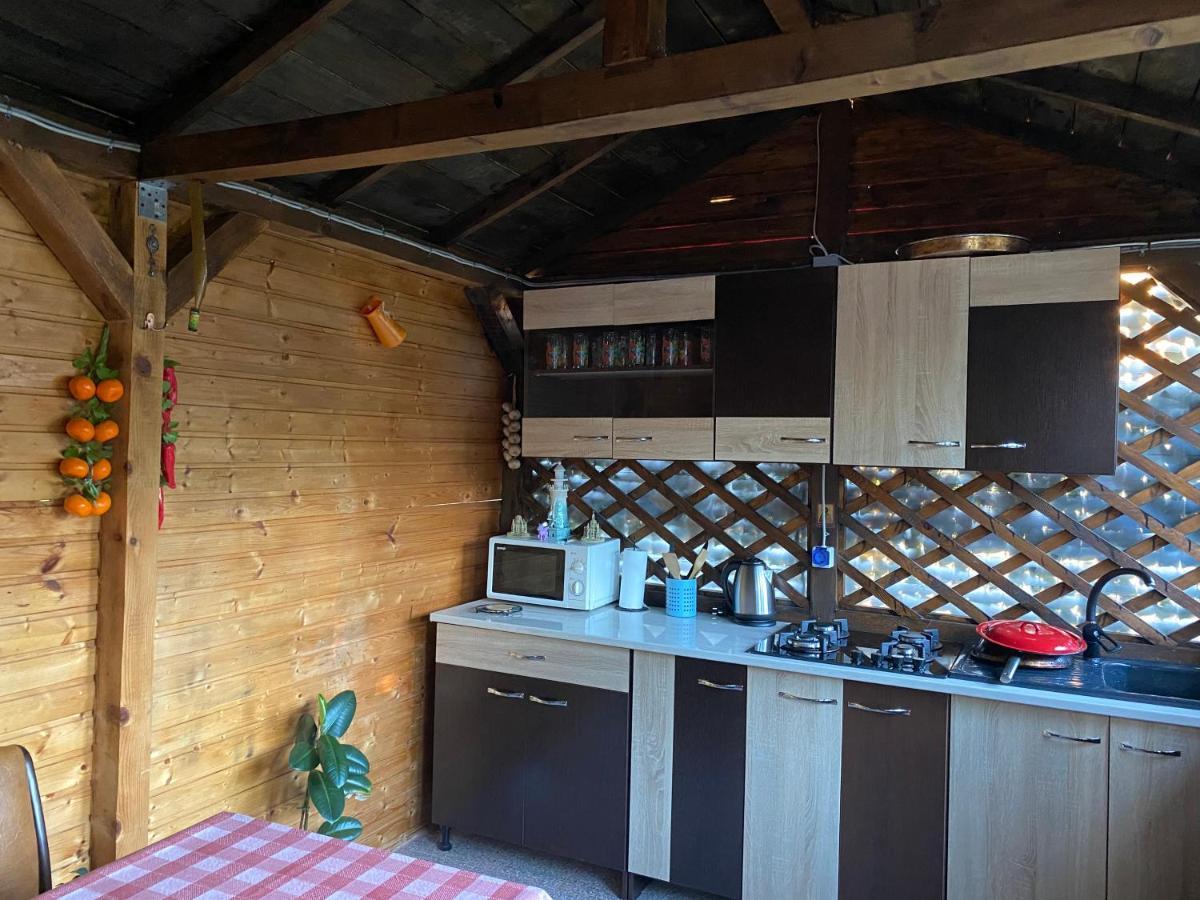 Vila Piscotel Schitu Экстерьер фото