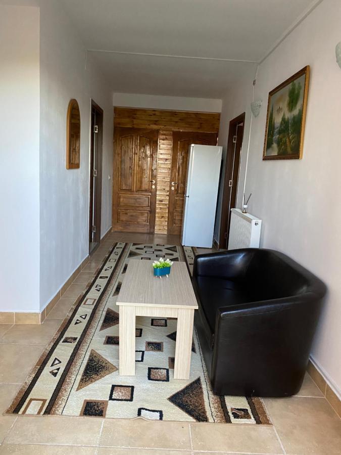 Vila Piscotel Schitu Экстерьер фото